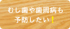 むし歯や歯周病も予防したい！