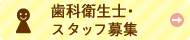 歯科衛生士・スタッフ募集