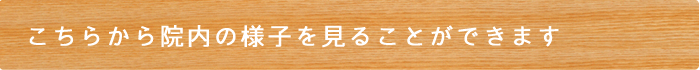 こちらから院内の様子を見ることができます