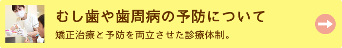 むし歯や歯周病の予防について